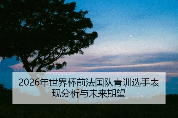 nian-shi-jie-bei-qian-fa-guo-dui-qing-xun-xuan-shou-biao-xian-fen-xi-yu-wei-lai-qi-wang-2-621.jpg
