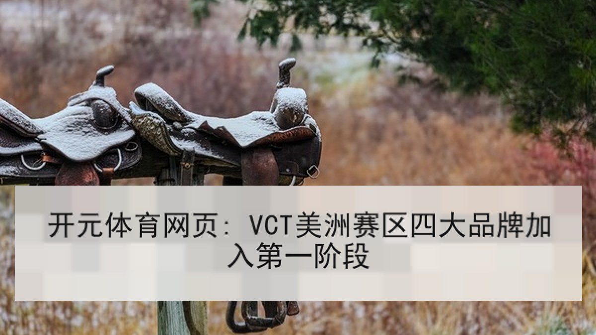 开元体育网页: VCT美洲赛区四大品牌加入第一阶段 开元体育网页: VCT美洲赛区四大品牌加入第一阶段