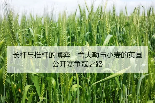 长杆与推杆的博弈：舍夫勒与小麦的英国公开赛争冠之路
